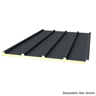 Sandwichplatte Dach G4