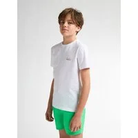 Petrol Industries T-Shirt Tealshore mit Rückenaufdruck