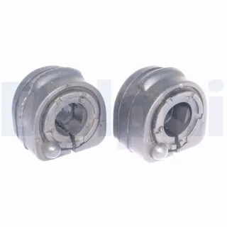 Delphi Stabilisatorlager hinten Ford Focus 1
