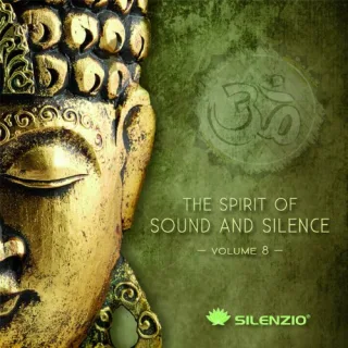 The Spirit of Sound & Silence Vol. 8