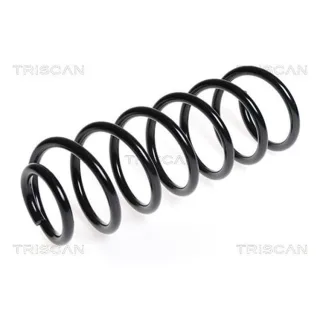 Triscan Feder hinten Citroen Berlingo Peugeot Partner 1,6 875028131