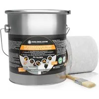 Hanse Syntec Systems Dichtstoff Flüssigkunststoff Abdichtungsset inkl. Pinsel & Vlies, geeignet für alle Untergründe außer Silikon, frischen Bitumen/Asphalt