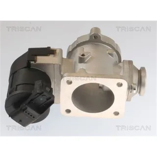 Triscan AGR-Ventil BMW 3er X5 3,0