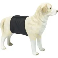Beeztees Hundewindel Inkontinenz Bauchband schwarz