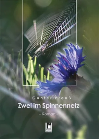 Zwei im Spinnennetz