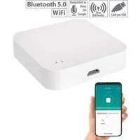 Luminea Home-Control WLAN-Steuerungsmodul RC-350.duo ZigBee WLAN Gateway Smart Home Zentrale App WiFi Mesh, für zum Steuern kompatibler Geräte, z.B. elektrische Türschließzylinder oder Heizkörper-Thermostate
