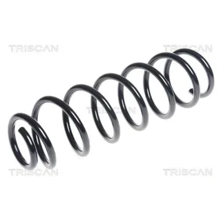 Triscan Feder hinten Renault Megane 3 87502593