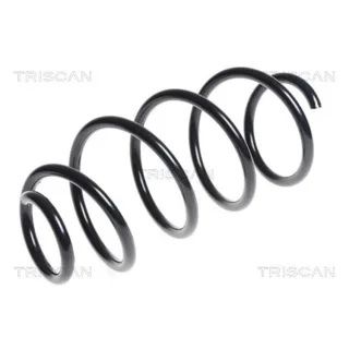 Triscan Feder vorne Audi A1 Seat Ibiza 875029323
