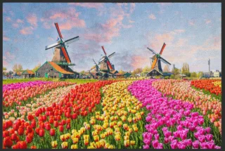 Fussmatte Holland 4556 | Größe: 60 cm x 45 cm