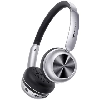 PICUN R2 Retro Headset Wireless bluetooth 5.4 Headphone 40mm Dynamic Driver AAC Audio 100H Playback Adjustable Headband