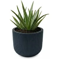 Prosperplast Blumentopf Milly, inkl. Pflanzeinsatz, 23,9 x 19,7 cm