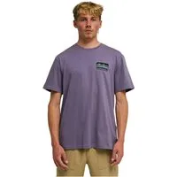 Billabong T-Shirt Range