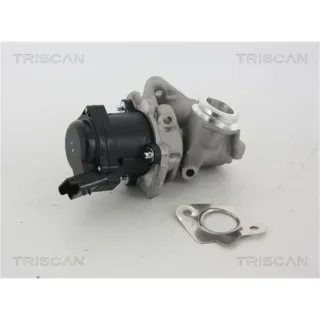 Triscan AGR-Ventil Citroen Ford Peugeot Toyota
