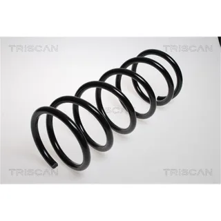 Triscan Feder vorne Citroen Fiat Peugeot 87502870