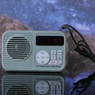 HanRongDa HRD-231 DSP Stereo Radio Music Player FM Bluetooth TF Card Playback 50 Station Memory 2000mAh Rechargeable Bat