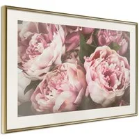 Artgeist Poster Pink Peonies []