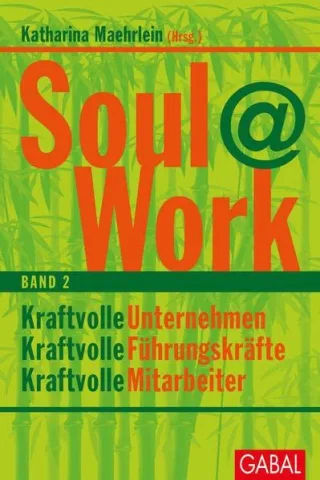 Soul@Work Band 2: Kraftvolle Unternehmen kraftvolle Führungskräfte kraftvolle Mitarbeiter (Dein Business)
