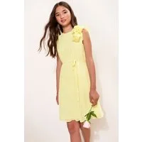 LIPSY Plisseekleid Lipsy plissiertes, festliches Kleid mit 3D-Blumen (2-tlg)