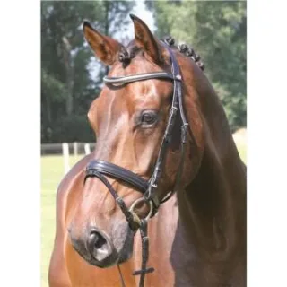 Hans Melzer Horse Equipment Hans Melzer Trense Kreuth schwarz/silber Pony