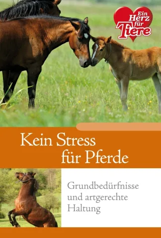 Ratgeber Tiere - Kein Stress für Pferde! Grundbedürfnisse und artgerechte Haltung
