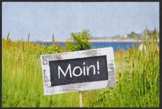 Fussmatte Moin 4759 | Größe: 60 cm x 45 cm