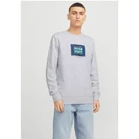 Jack & Jones Sweatshirt JJHUDSON – Sweatshirt mit Print, Rundhals und Kapuze Print, modisch, regular fit, angeraute Sweatware, Rundhals