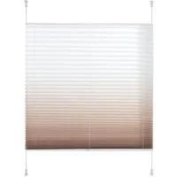 Liedeco Plissee Farbverlauf, Lichtschutz, ohne Bohren, verspannt, Klemmfix