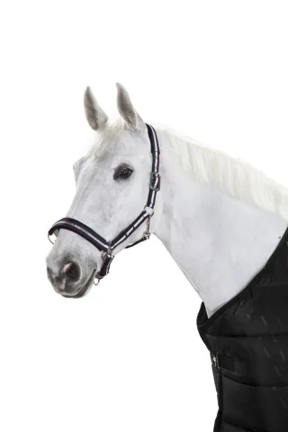 Halfter ES Pin Buckle Basics einfarbig
