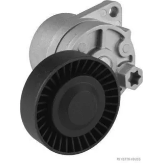 Jakoparts Riemenspanner f?r Keilrippenriemen Hyundai Terracan Kia Carnival K2900 2,9