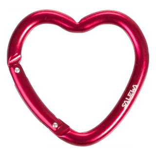 SALEWA - HEART CARABINER - Schwarz (Gr.UNI)