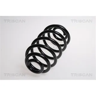 Triscan Feder hinten Fiat Croma