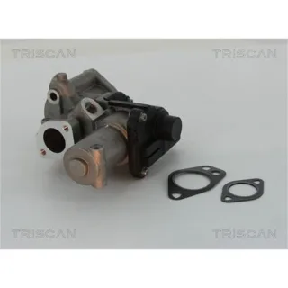 Triscan AGR-Ventil Audi Porsche VW