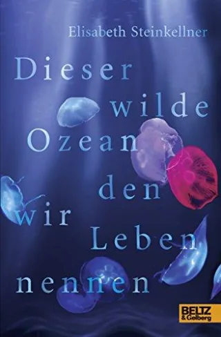 Dieser wilde Ozean den wir Leben nennen: Roman