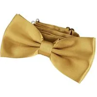 DonDon Fliege DonDon Edle Herren Fliege Schleife glänzend (Packung, 1-St) bereits gebunden, verstellbar, Seidenlook
