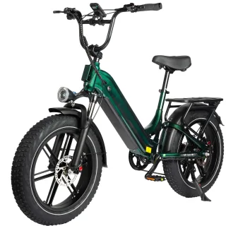 [EU DIRECT] Camel Electric Bike 48V 18AH 250W Motor 25Km/h Max Speed 20-Inch Fat Tires 120Km Max Range 120Kg Max Load 7-