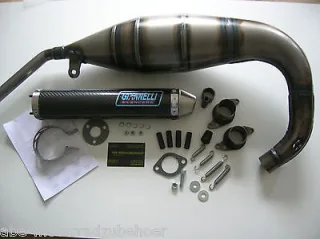 Sport Auspuff Anlage Giannelli Carbon Aprilia RS 125 Bj. 1994-2014 Typ MPB1 SF PY