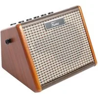FAME Verstärker (Akustikgitarren Verstärker, Akkubetrieben, Bluetooth-Schnittstelle)