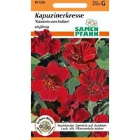 SAMEN PFANN Blumensamen Kapuzinerkresse, Kaiserin von Indien - Kapuzinerkresse-Samen, Tropaeolum minus