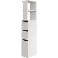 MIRJAN24 Hochschrank Roza (mit 2 Schubladen) 33x20x136 cm