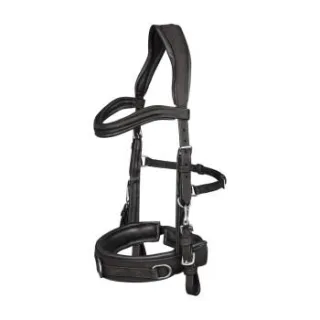 Waldhausen GmbH Waldhausen Kappzaum Anatomic schwarz VB/ COB (Vollblut)