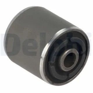 Delphi Querlenkerlager Kia Carens Shuma TD1487W
