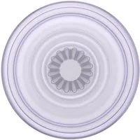 Popsockets Popsockets PopGrip - Premiuim - Plant Dusty Lavender