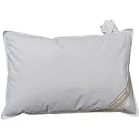Betten Hofmann Daunenkissen Betten Hofmann Daunenkissen Kuschelkissen 40x60 cm 100% Daunen 150 g, Füllung: 100% Daunen, Bezug: 100% Baumwolle, Seitenschläfer, Bauchschläfer, Rückenschläfer, vielseitige Nutzung, kuschelweich, Made in Germany, hypoalle
