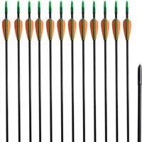 vidaXL Recurvebogen, Recurvebogen-Pfeile 30" 0,6 cm Fiberglas 12 Stk.