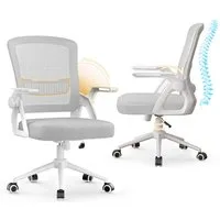 ZAISZE Bürostuhl Ergonomischer Bürostuhl mit Mesh-Rückenlehne und Lendenstütze (Verstellbarer Armlehnen, Atmungsaktiv, Höhenverstellbarer Schreibtischstuhl mit 90° Klappbaren Armlehnen), Verlängerte und Verbreiterte Rückenlehne, Drehstuhl fürs Homeof