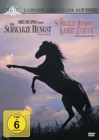 Der Schwarze Hengst / Der Schwarze Hengst kehrt zurück [2 DVDs]