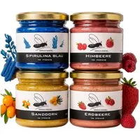Grega´s Imkerei Honig 4er Box – Honigsüßer Brotaufstrich, 4 x 250 g, (perfektes Probier- & Geschenkset), 4 Gläser mit Erdbeere Himbeere Sanddorn sowie Spirulina Blau im Honig