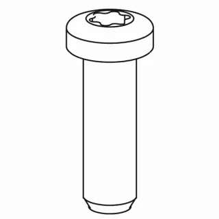 KWC PT-Linsenschraube K50x16, WN1412 mit Torx 20, Edelstahl,634938 634938