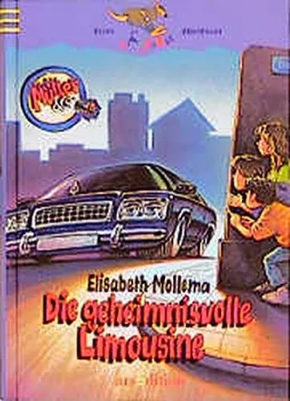 Die geheimnisvolle Limousine