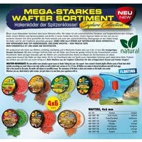 Behr Kunstköder Wafters Spar Set 4x6mm Hakenköder schwimmend 20g - 6 Aromen Karpfen, (6-St. 6 Dosen), Tolle Farben
